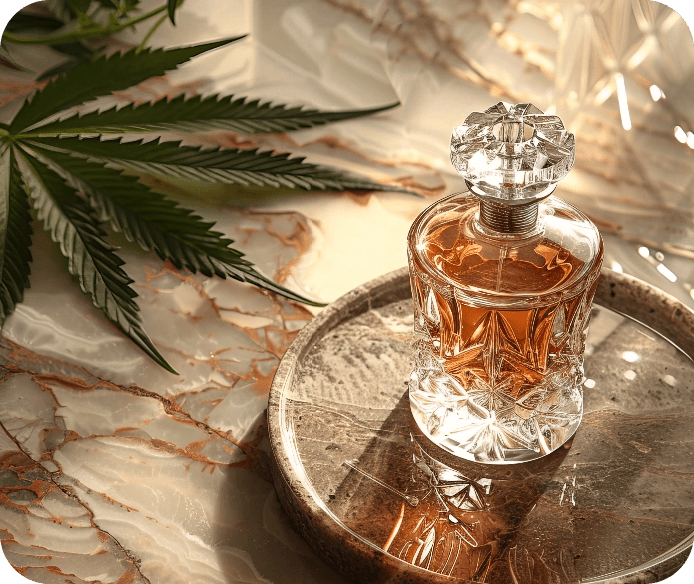 From Day to Night: How to Choose Perfumes that Match Your Lifestyle and Mood...